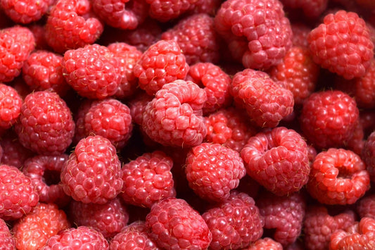 Beerenglück im Sommer – süss, gesund & einfach unwiderstehlich