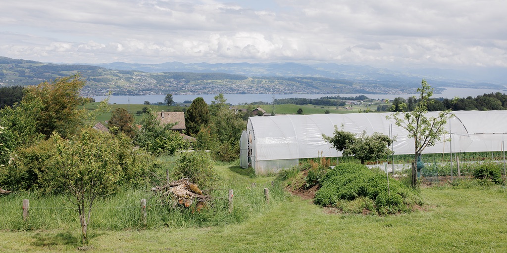 Gemüsegarten mit Folientunnel auf einem Bauernhof, im Hintergrund ein See und Hügel