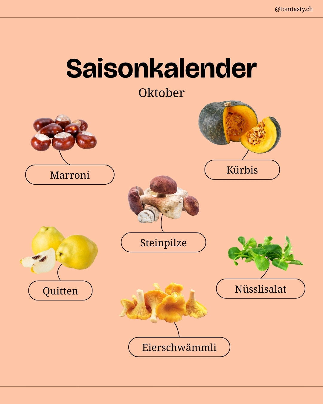 Der Herbst steht vor der Tür! 🎃 Die Blätter werden farbig, die Sonne scheint goldiger…